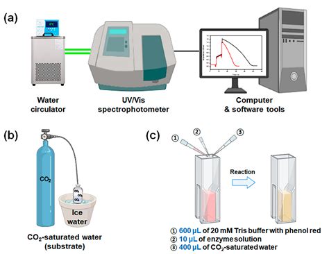 Detection of Carbohydrates by Colorimetric Methods.